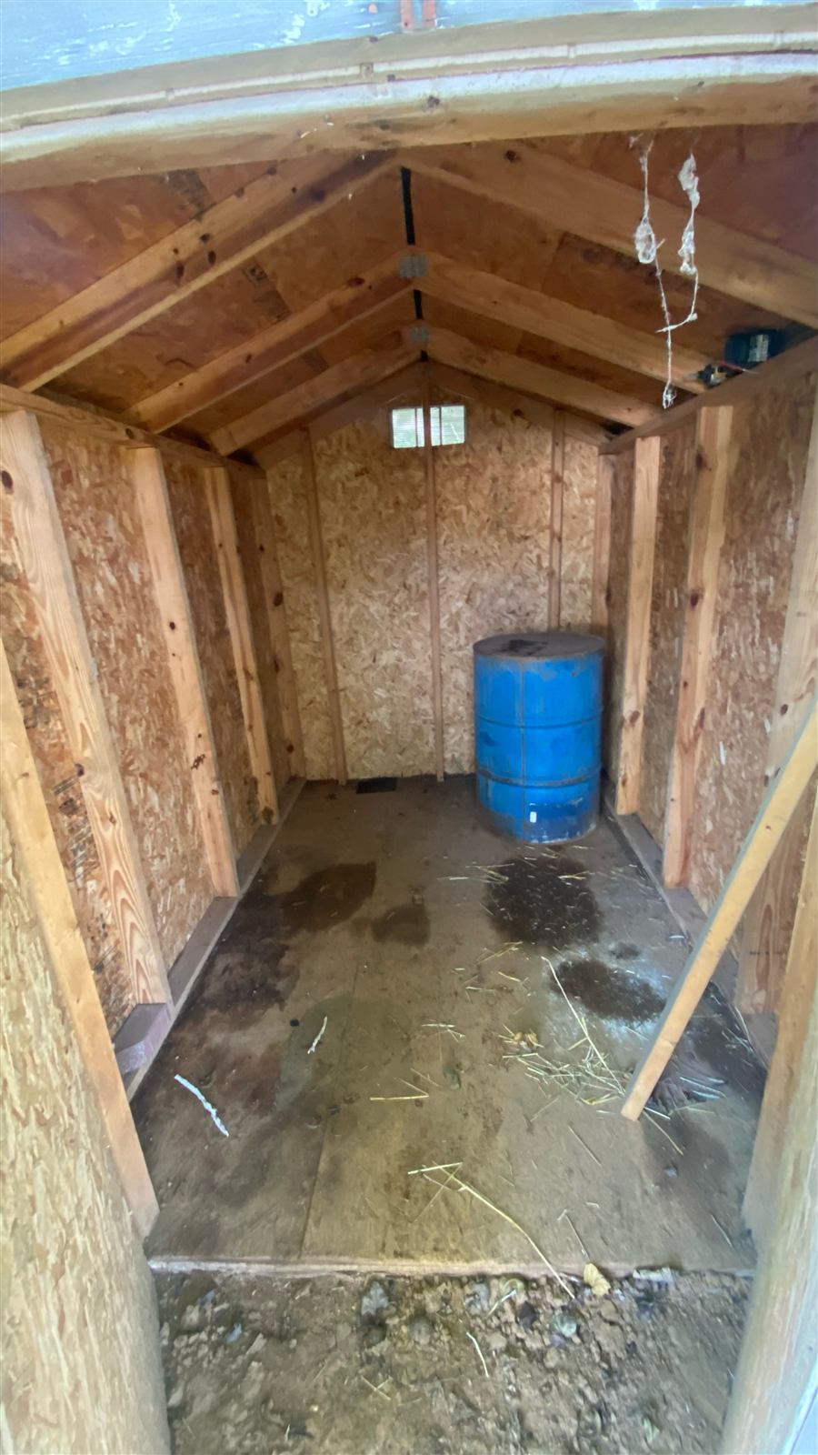 Shed interior stripped to bare framing with new roof structure